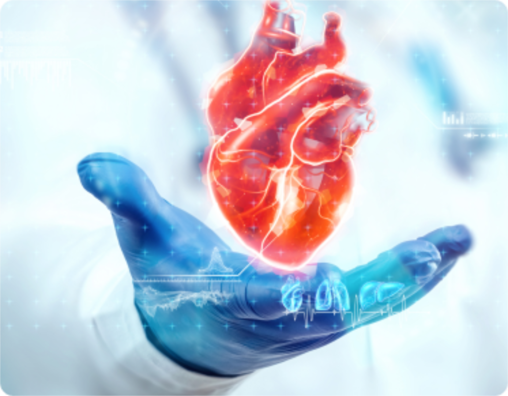Exame cardiológico no Centro de Cardiologia do Hospital Santa Rita